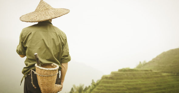 nông dân đức hạnh