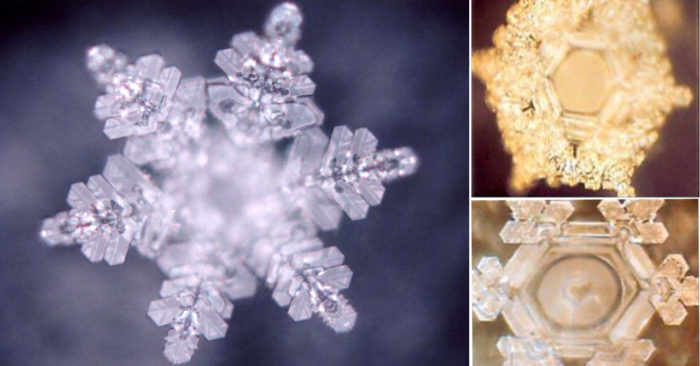 Thông điệp của nước: Trao gửi yêu thương, nhận điều tốt đẹp