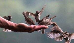Âm đức là gì? Làm thế nào có được?