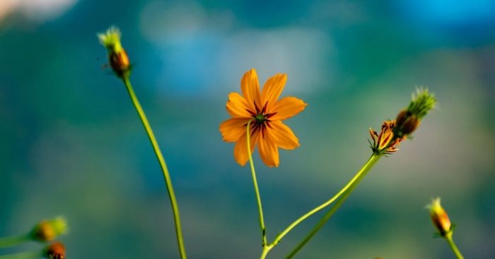 Quan niệm sai lầm dẫn tới nhận thức sai lầm