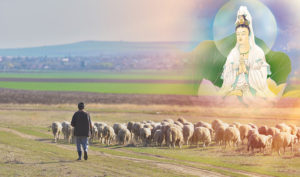 Quan Âm Bồ Tát điểm hóa người chăn cừu, chỉ người thiện lương mới bình an trong đại dịch