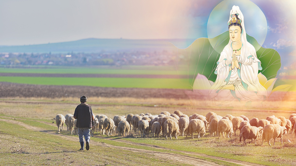 Quan Âm Bồ Tát điểm hóa người chăn cừu, chỉ người thiện lương mới bình an trong đại dịch