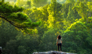 6 lý do bạn nên ra ngoài trời nhiều hơn