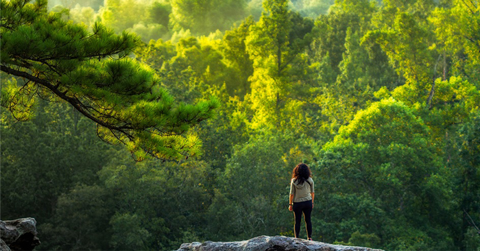 6 lý do bạn nên ra ngoài trời nhiều hơn