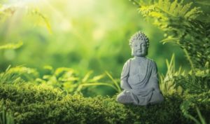 Tác hại của oán giận: Rút ngắn cuộc sống của bạn