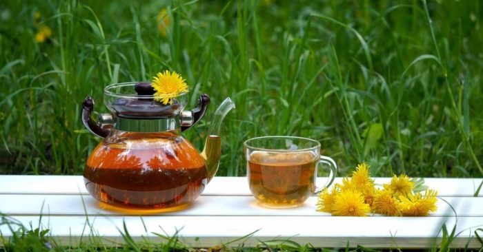 5 cây thảo dược quen thuộc tốt cho hệ tiêu hóa