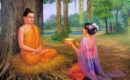 Đời người như sương mai, xinh đẹp cũng vô thường