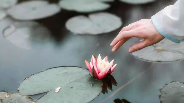 Vạn sự tùy duyên, không nên cưỡng cầu