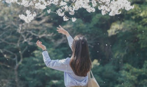 Tư thù chỉ thêm đau khổ, mở lòng dung thứ mới an nhiên