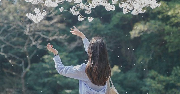 Tư thù chỉ thêm đau khổ, mở lòng dung thứ mới an nhiên