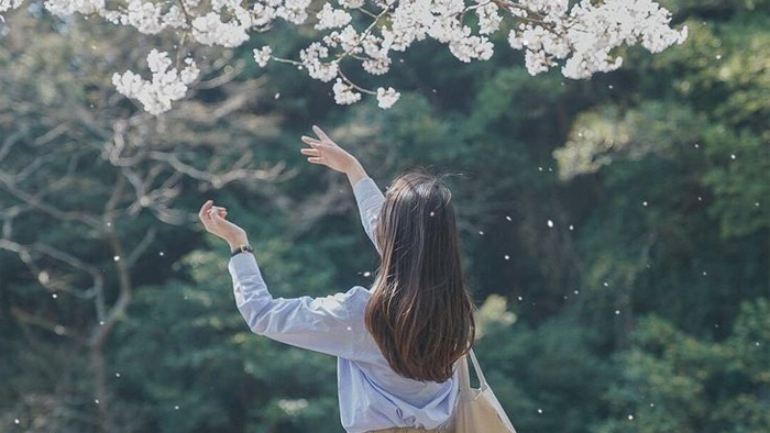 Tư thù chỉ thêm đau khổ, mở lòng dung thứ mới an nhiên