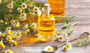 6 loại tinh dầu có tác dụng kháng khuẩn cực tốt