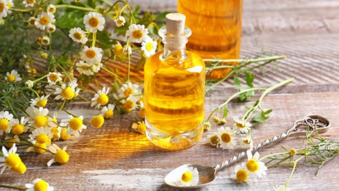 6 loại tinh dầu có tác dụng kháng khuẩn cực tốt