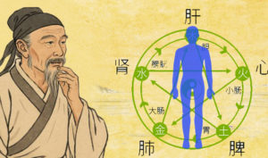 Đạo hòa hợp trong Trung y: Ngũ sắc, ngũ vị nhập ngũ tạng