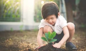 5 lý do để phát triển tư duy dài hạn