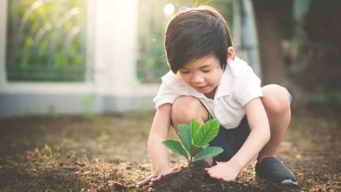 5 lý do để phát triển tư duy dài hạn