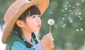 Duyên sâu thì tụ, duyên cạn thì tan, vạn sự hãy để tùy duyên