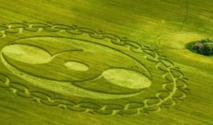 Vòng tròn trên cánh đồng là kiệt tác của người ngoài hành tinh?
