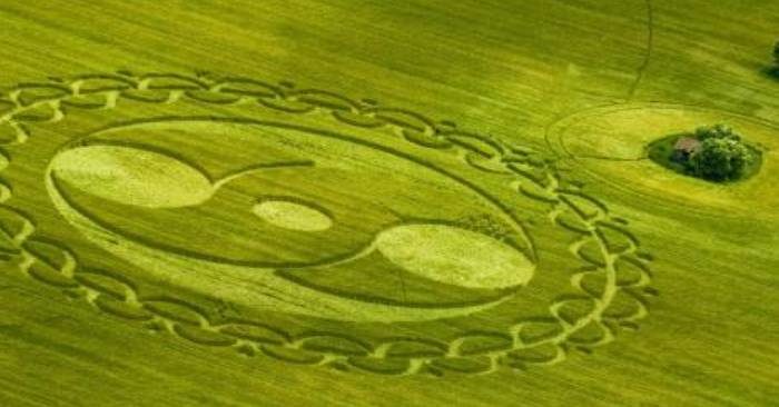 Vòng tròn trên cánh đồng lúa mì là kiệt tác của người ngoài hành tinh?