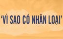Bài viết “Vì sao có nhân loại” khiến những người có chính tín thêm phấn chấn