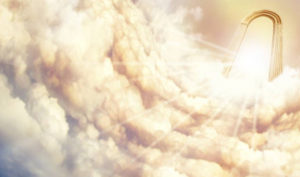 Các vị thần đã dùng cách gì để giúp đỡ một ông lão tốt bụng?