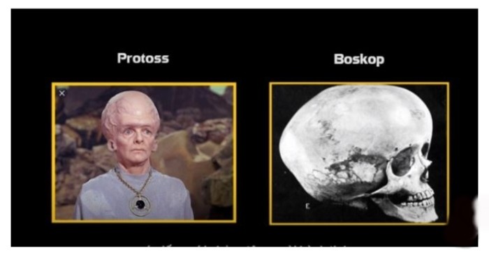 So sánh kích thước não bộ của người Boskop với bộ não người ngoài hành tinh Protoss (ảnh: Miss Ruby).